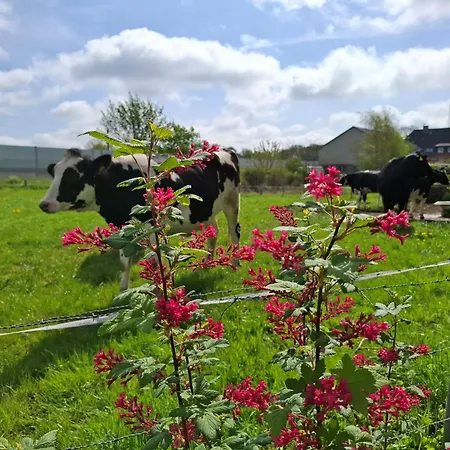 Naeve - Helle, Gemuetliche Auf Dem Lande Mit Zwei Schlafzimmern * Barderup